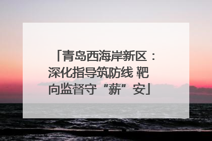 青岛西海岸新区：深化指导筑防线 靶向监督守“薪”安