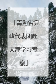 青海省党政代表团赴天津学习考察
