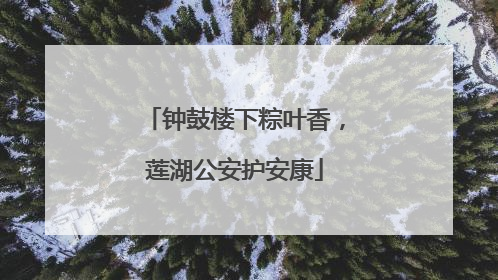 钟鼓楼下粽叶香，莲湖公安护安康