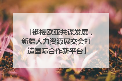 链接欧亚共谋发展，新疆人力资源展交会打造国际合作新平台