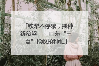 铁犁不停歇，播种新希望——山东“三夏”抢收抢种忙