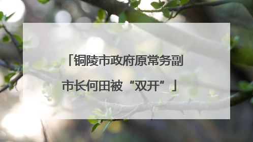 铜陵市政府原常务副市长何田被“双开”