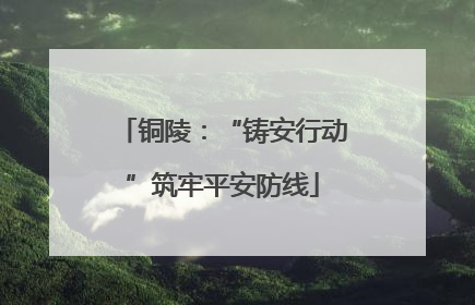 铜陵：“铸安行动”筑牢平安防线