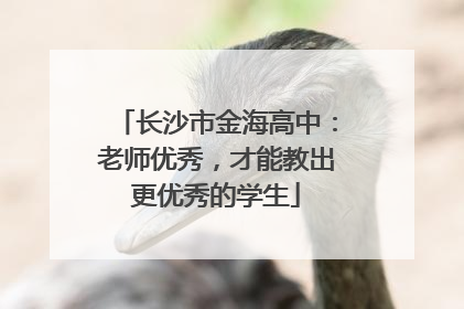 长沙市金海高中：老师优秀，才能教出更优秀的学生