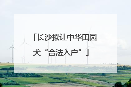 长沙拟让中华田园犬“合法入户”