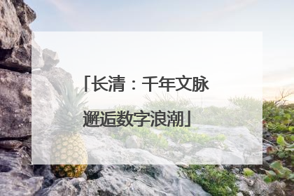 长清：千年文脉邂逅数字浪潮