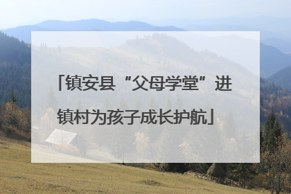 镇安县“父母学堂”进镇村为孩子成长护航