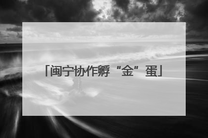 闽宁协作孵“金”蛋