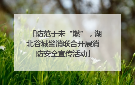防范于未“燃”，湖北谷城警消联合开展消防安全宣传活动