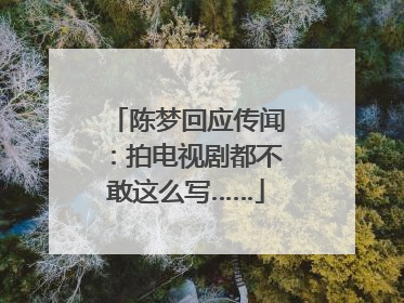 陈梦回应传闻：拍电视剧都不敢这么写……