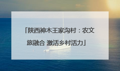 陕西神木王家沟村：农文旅融合 激活乡村活力