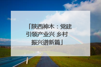 陕西神木：党建引领产业兴 乡村振兴谱新篇
