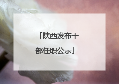 陕西发布干部任职公示