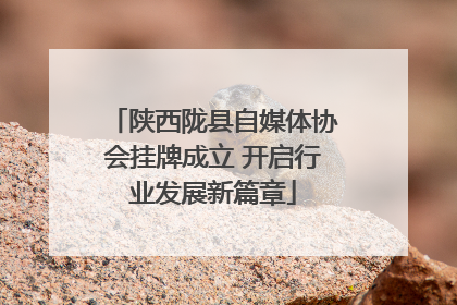 陕西陇县自媒体协会挂牌成立 开启行业发展新篇章