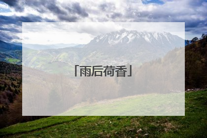 雨后荷香
