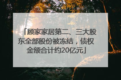 顾家家居第二、三大股东全部股份被冻结，债权金额合计约20亿元