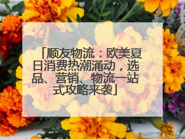顺友物流：欧美夏日消费热潮涌动，选品、营销、物流一站式攻略来袭