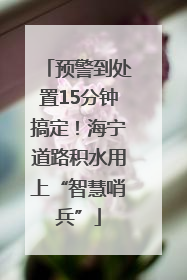 预警到处置15分钟搞定！海宁道路积水用上“智慧哨兵”