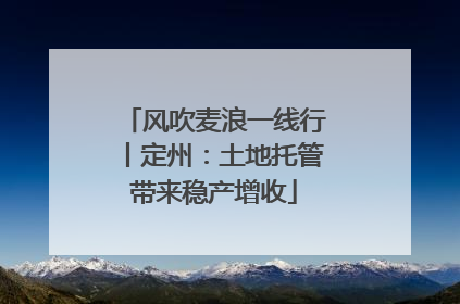 风吹麦浪一线行丨定州：土地托管带来稳产增收