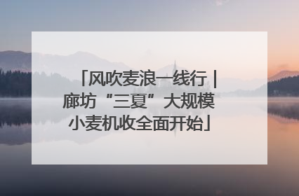风吹麦浪一线行｜廊坊“三夏”大规模小麦机收全面开始