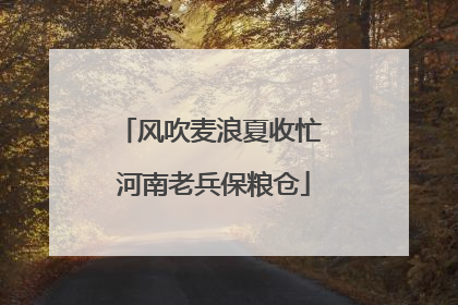 风吹麦浪夏收忙 河南老兵保粮仓