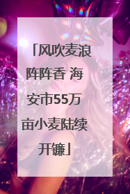 风吹麦浪阵阵香 海安市55万亩小麦陆续开镰