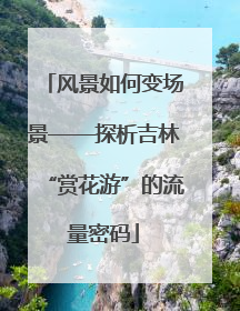 风景如何变场景——探析吉林“赏花游”的流量密码