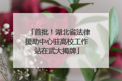 首批！湖北省法律援助中心驻高校工作站在武大揭牌