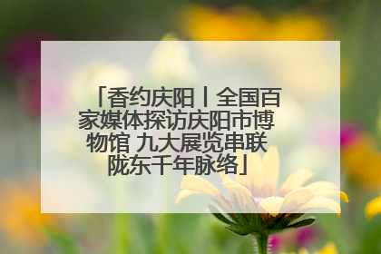香约庆阳丨全国百家媒体探访庆阳市博物馆 九大展览串联陇东千年脉络