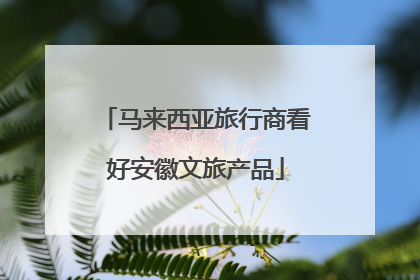 马来西亚旅行商看好安徽文旅产品