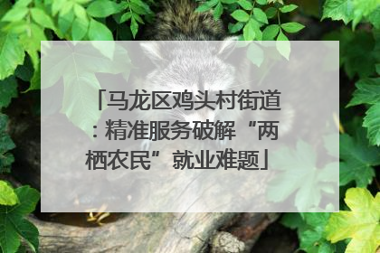马龙区鸡头村街道：精准服务破解“两栖农民”就业难题