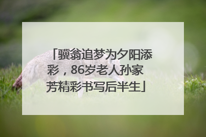 骥翁追梦为夕阳添彩，86岁老人孙家芳精彩书写后半生