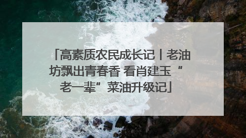 高素质农民成长记丨老油坊飘出青春香 看肖建玉“老一辈”菜油升级记