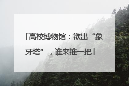 高校博物馆：欲出“象牙塔”，谁来推一把