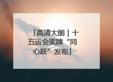 高清大图｜十五运会奖牌“同心跃”发布