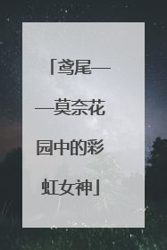 鸢尾——莫奈花园中的彩虹女神