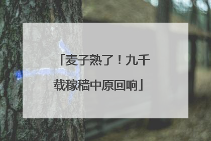 麦子熟了！九千载稼穑中原回响