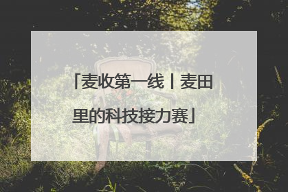 麦收第一线丨麦田里的科技接力赛