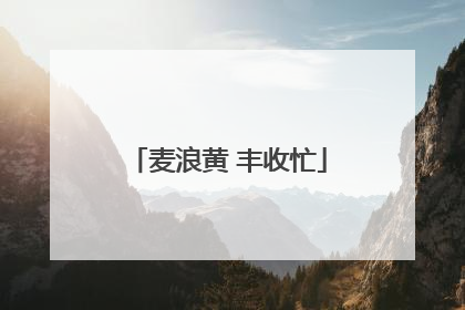 麦浪黄 丰收忙