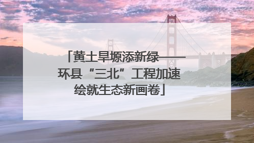 黄土旱塬添新绿——环县“三北”工程加速绘就生态新画卷