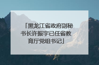 黑龙江省政府副秘书长许振宇已任省教育厅党组书记