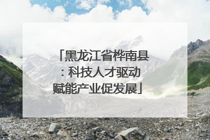 黑龙江省桦南县：科技人才驱动 赋能产业促发展