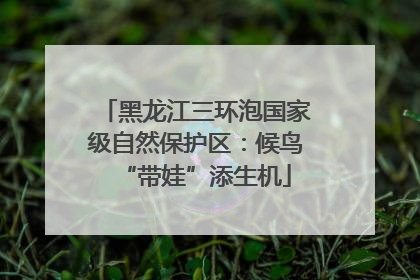 黑龙江三环泡国家级自然保护区：候鸟“带娃”添生机