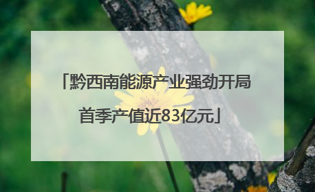 黔西南能源产业强劲开局 首季产值近83亿元