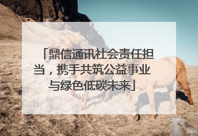 鼎信通讯社会责任担当，携手共筑公益事业与绿色低碳未来