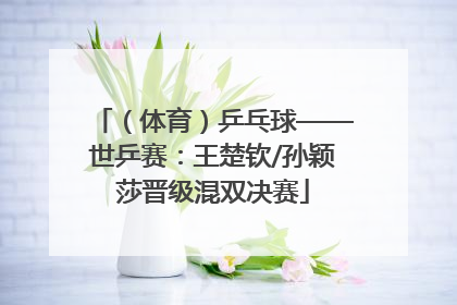 （体育）乒乓球——世乒赛：王楚钦/孙颖莎晋级混双决赛