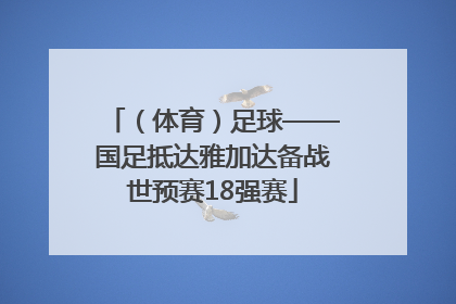（体育）足球——国足抵达雅加达备战世预赛18强赛