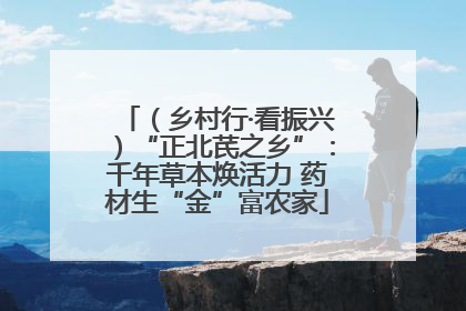 （乡村行·看振兴）“正北芪之乡”：千年草本焕活力 药材生“金”富农家