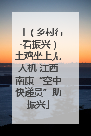 （乡村行·看振兴）土鸡坐上无人机 江西南康“空中快递员”助振兴