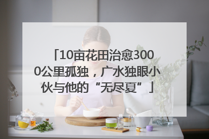 10亩花田治愈3000公里孤独，广水独眼小伙与他的“无尽夏”
